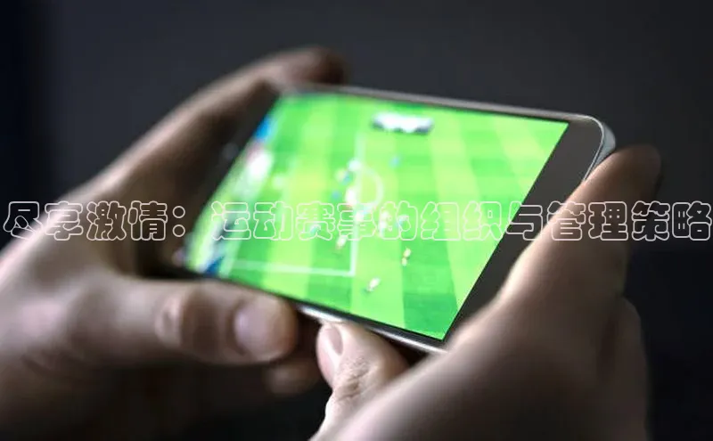 尽享激情：运动赛事的组织与管理策略