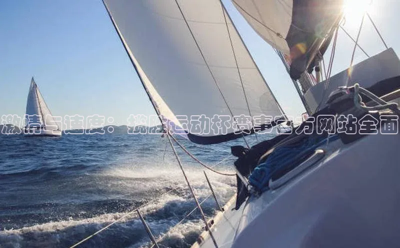 激情与速度：揽胜运动杯赛事官方网站全面