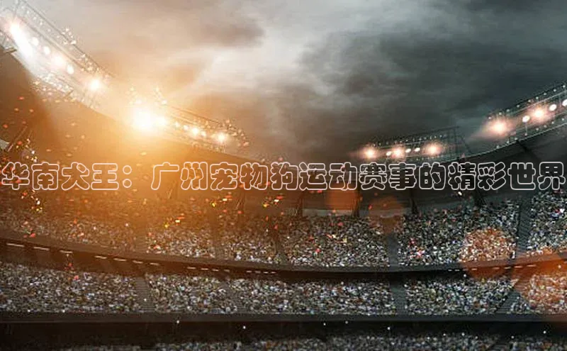 凯发K8天生赢家一触即发