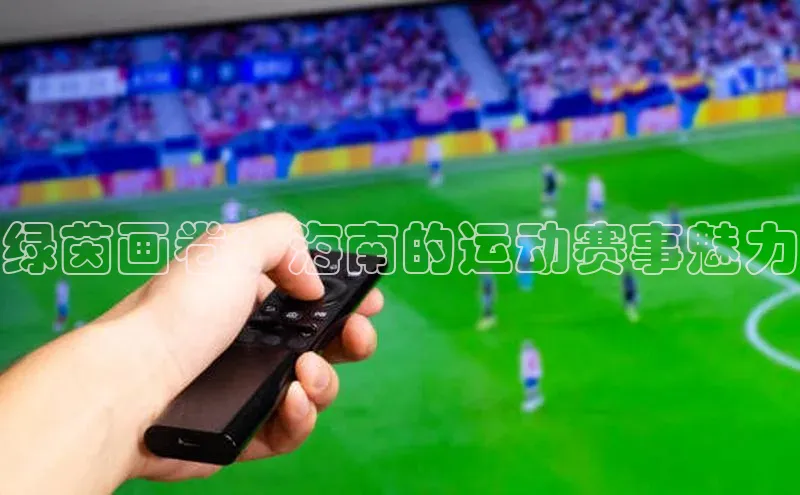 绿茵画卷：海南的运动赛事魅力